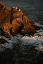 Point Reyes en Californie. © Philip Plisson / Plisson La Trinité / AA11229 - Nos reportages photos - Phares USA