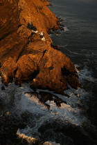 Point Reyes en Californie. © Philip Plisson / Plisson La Trinité / AA11230 - Nos reportages photos - Etats-Unis