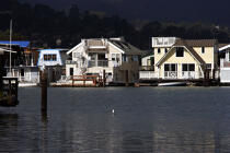 Maison à Sausalito. © Philip Plisson / Plisson La Trinité / AA11253 - Nos reportages photos - Baie de San Francisco