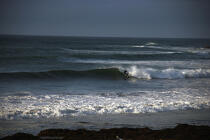 Surf à Monterey en Californie. © Philip Plisson / Plisson La Trinité / AA11295 - Nos reportages photos - Vague