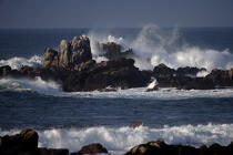 Monterey en Californie. © Philip Plisson / Plisson La Trinité / AA11296 - Nos reportages photos - Vague