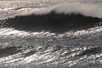 Wave in Monterey, California. © Philip Plisson / Plisson La Trinité / AA11298 - Photo Galleries - Town [California]