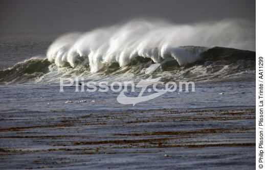 Wave in Monterey, California. - © Philip Plisson / Plisson La Trinité / AA11299 - Photo Galleries - Town [California]