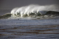 Wave in Monterey, California. © Philip Plisson / Plisson La Trinité / AA11299 - Photo Galleries - Town [California]