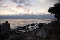 Paysage à Monterey. © Philip Plisson / Plisson La Trinité / AA11305 - Nos reportages photos - Californie
