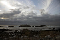Paysage à Monterey. © Philip Plisson / Plisson La Trinité / AA11307 - Nos reportages photos - Mouette