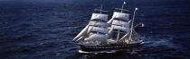 The Belem. © Philip Plisson / Plisson La Trinité / AA11325 - Photo Galleries - Tall ships