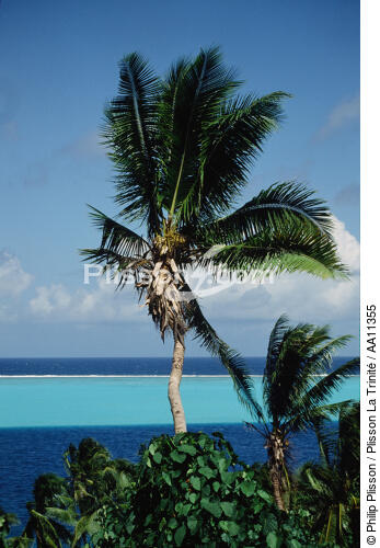 Tahiti. - © Philip Plisson / Plisson La Trinité / AA11355 - Nos reportages photos - Ile [Polynésie française]