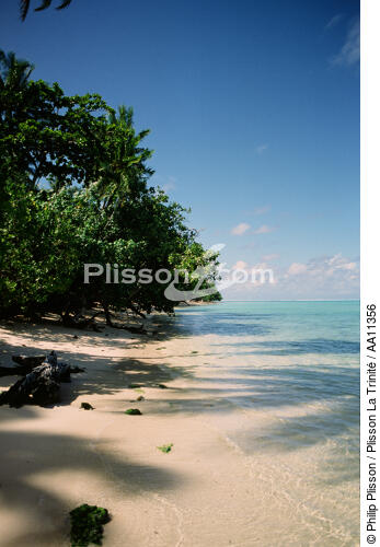 Tahiti. - © Philip Plisson / Plisson La Trinité / AA11356 - Photo Galleries - Polynesia