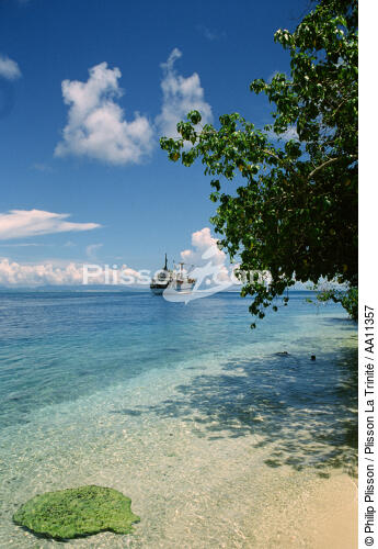 Tahiti. - © Philip Plisson / Plisson La Trinité / AA11357 - Photo Galleries - Polynesia