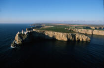 Cabo Vicente au Portugal. © Philip Plisson / Plisson La Trinité / AA11367 - Nos reportages photos - Falaise