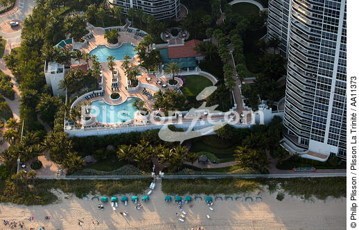 Miami. - © Philip Plisson / Plisson La Trinité / AA11373 - Nos reportages photos - Palmier