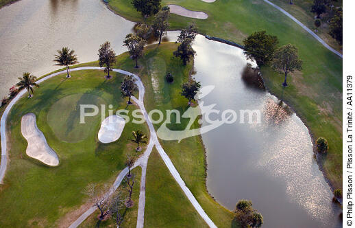 Golf à Miami. - © Philip Plisson / Plisson La Trinité / AA11379 - Nos reportages photos - Arbre