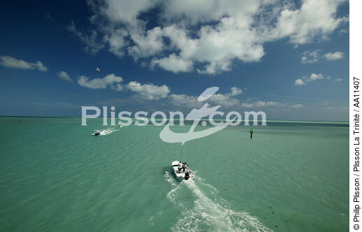 Keys Islands in Florida. - © Philip Plisson / Plisson La Trinité / AA11407 - Photo Galleries - Good weather