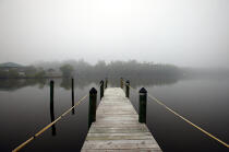 Ponton dans la brume. © Philip Plisson / Plisson La Trinité / AA11441 - Nos reportages photos - Floride