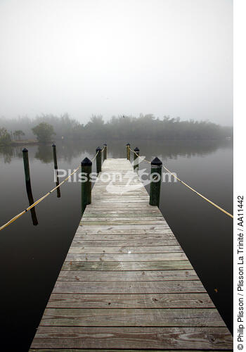 Ponton in the mist. - © Philip Plisson / Plisson La Trinité / AA11442 - Photo Galleries - Ponton