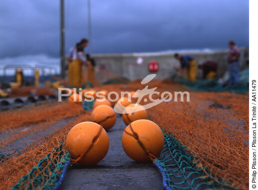 Filet de pêche à quai. - © Philip Plisson / Plisson La Trinité / AA11479 - Nos reportages photos - Homme