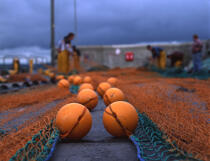 Filet de pêche à quai. © Philip Plisson / Plisson La Trinité / AA11479 - Nos reportages photos - Filet de pêche