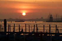 Sunset on Venice. © Philip Plisson / Plisson La Trinité / AA11527 - Photo Galleries - Town [It]