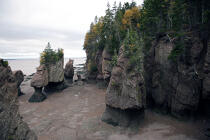 Hope Well Rocks dans la Baie de Fundy. © Philip Plisson / Plisson La Trinité / AA11595 - Nos reportages photos - Côte sauvage
