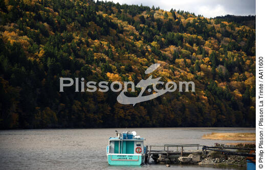 Baie de Fundy. - © Philip Plisson / Plisson La Trinité / AA11600 - Nos reportages photos - Site [Nouveau Brunswick]