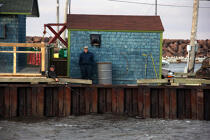 Pêcheurs dans le port de Shediac. © Philip Plisson / Plisson La Trinité / AA11602 - Nos reportages photos - Ville [Nouveau Brunswick]