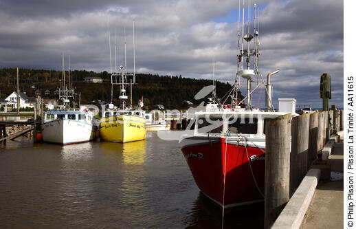 Port of Alma. - © Philip Plisson / Plisson La Trinité / AA11615 - Photo Galleries - Site of interest [New Brunswick]