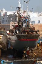 Bateau de pêche dans le port d'Essaouira. © Philip Plisson / Plisson La Trinité / AA11637 - Nos reportages photos - Maroc