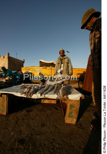 Pêcheur marocain à Essaouira. - © Philip Plisson / Plisson La Trinité / AA11638 - Nos reportages photos - Poisson