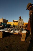 Pêcheur marocain à Essaouira. © Philip Plisson / Plisson La Trinité / AA11638 - Nos reportages photos - Ciel bleu