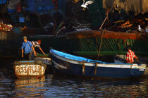 Moroccan fishermen in Essaouira. © Philip Plisson / Plisson La Trinité / AA11641 - Photo Galleries - Fisherman