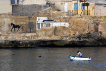 Malte. © Philip Plisson / Plisson La Trinité / AA11694 - Nos reportages photos - Barque