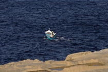 L'île de Gozo. © Philip Plisson / Pêcheur d’Images / AA11733 - Nos reportages photos - Les couleurs de Malte