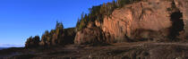 Fundy Bay. © Philip Plisson / Plisson La Trinité / AA11759 - Photo Galleries - Tree