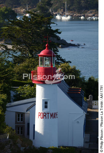 Port Manec'h. - © Philip Plisson / Plisson La Trinité / AA11791 - Photo Galleries - Tree