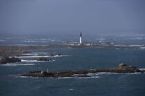 The island of Sein. © Philip Plisson / Plisson La Trinité / AA11810 - Photo Galleries - Sein [Lighthouse of]