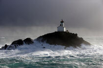 The lighthouse of Tevennec. © Philip Plisson / Plisson La Trinité / AA11812 - Photo Galleries - Seabird