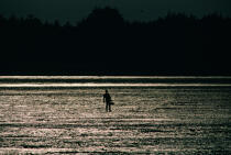 Fishing on foot. © Philip Plisson / Plisson La Trinité / AA11827 - Photo Galleries - Backlit