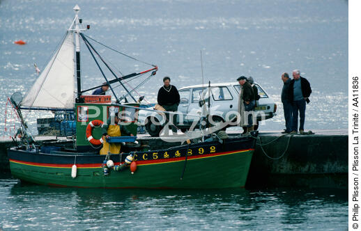 Retour de pêche dans le Finistère. - © Philip Plisson / Plisson La Trinité / AA11836 - Nos reportages photos - Quai