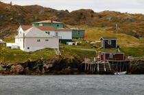 Terre-Neuve. © Philip Plisson / Plisson La Trinité / AA11868 - Photo Galleries - Newfoundland and Labrador