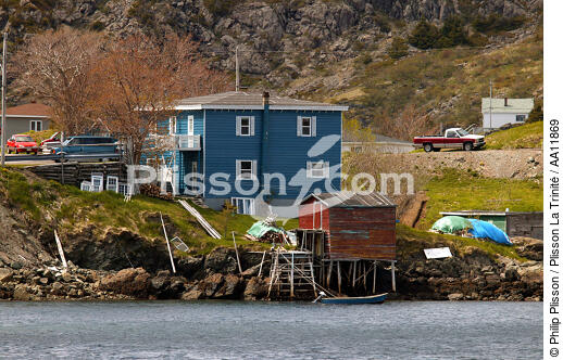 Terre-Neuve. - © Philip Plisson / Plisson La Trinité / AA11869 - Photo Galleries - Newfoundland and Labrador
