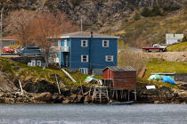 Terre-Neuve. © Philip Plisson / Plisson La Trinité / AA11869 - Photo Galleries - Newfoundland and Labrador