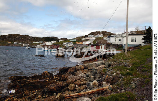 Terre-Neuve. - © Philip Plisson / Plisson La Trinité / AA11873 - Nos reportages photos - Rocher