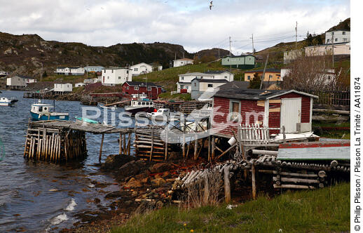 Terre-Neuve. - © Philip Plisson / Plisson La Trinité / AA11874 - Photo Galleries - Newfoundland and Labrador