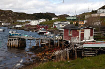 Terre-Neuve. © Philip Plisson / Plisson La Trinité / AA11874 - Photo Galleries - Newfoundland and Labrador