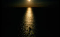 Coucher de soleil. © Philip Plisson / Plisson La Trinité / AA11881 - Nos reportages photos - Astre