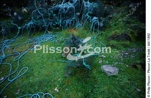 Ropes. - © Philip Plisson / Plisson La Trinité / AA11892 - Photo Galleries - Grass