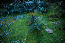 Ropes. © Philip Plisson / Plisson La Trinité / AA11892 - Photo Galleries - Ropes and rigging