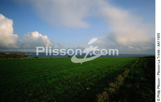 La Pointe du Raz. - © Philip Plisson / Plisson La Trinité / AA11905 - Nos reportages photos - Ciel bleu
