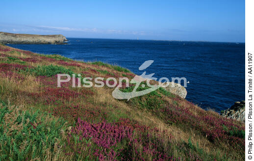 Wild coast of Ouessant. - © Philip Plisson / Plisson La Trinité / AA11907 - Photo Galleries - Good weather